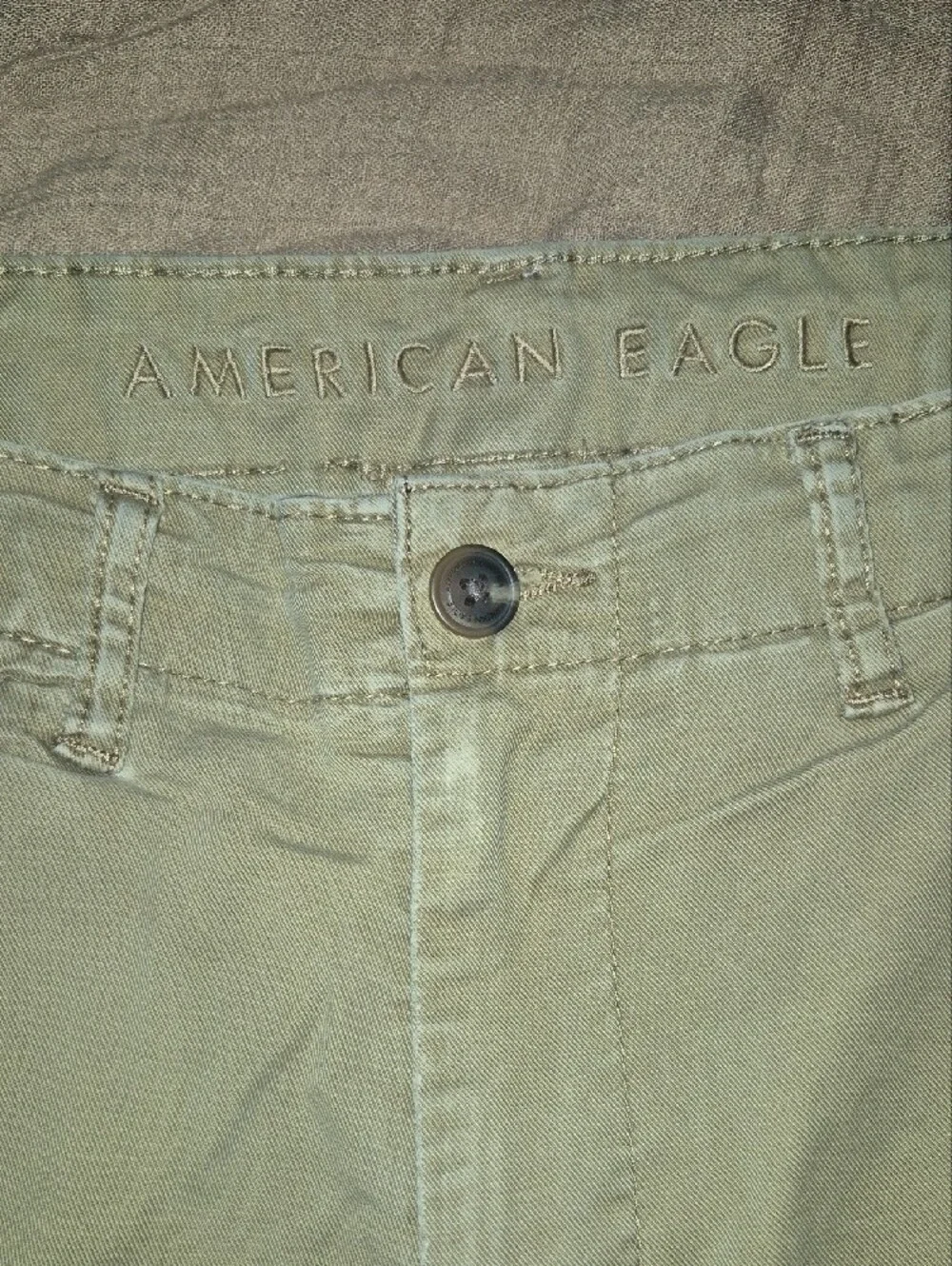 American Eagle Outfitters Men’s Olive-Tan Flat Front Shorts